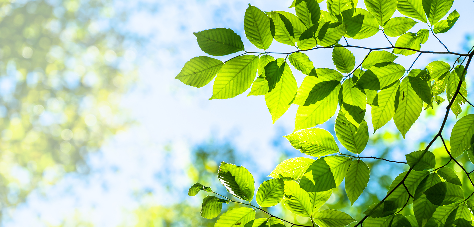 白石鉄工株式会社